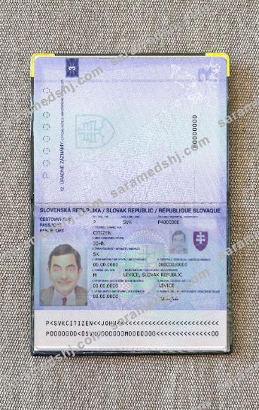 Slovakia passport 2012 photo look